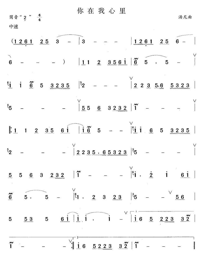 中国乐谱网——【笛箫曲谱】你在我心里
